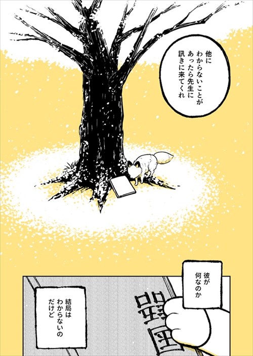 野良のボス猫が保護されようとする話