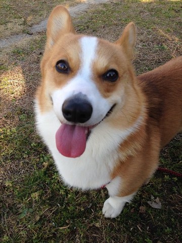 スパイクさんの横顔