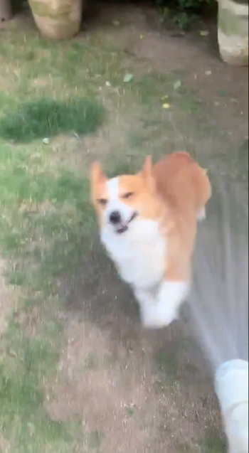 水浴びスパイクさん