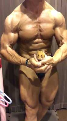 テグーマウス サイドチェスト 筋肉 モフモフ 動物 マッチョ インコ BIGKILLER