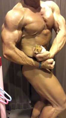 テグーマウス サイドチェスト 筋肉 モフモフ 動物 マッチョ インコ BIGKILLER