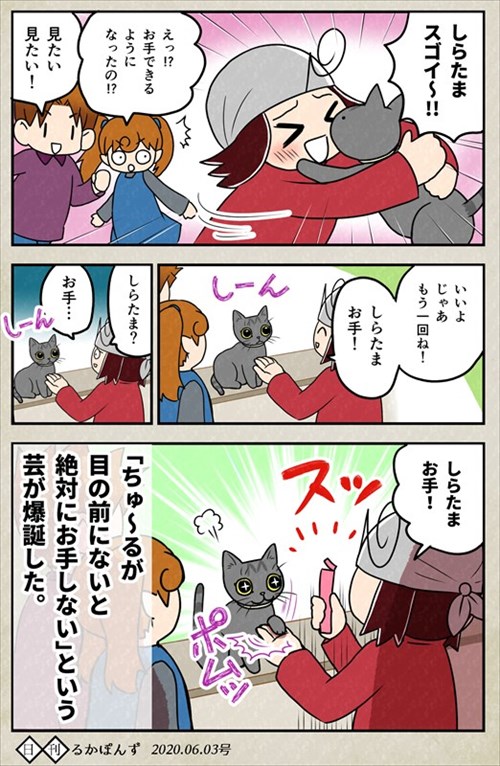 猫にお手を教えた結果