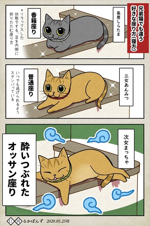 猫にお手を教えた結果