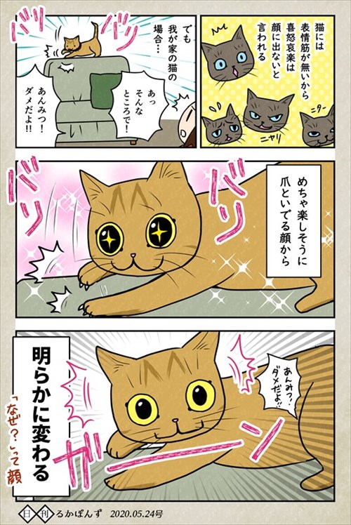 猫にお手を教えた結果