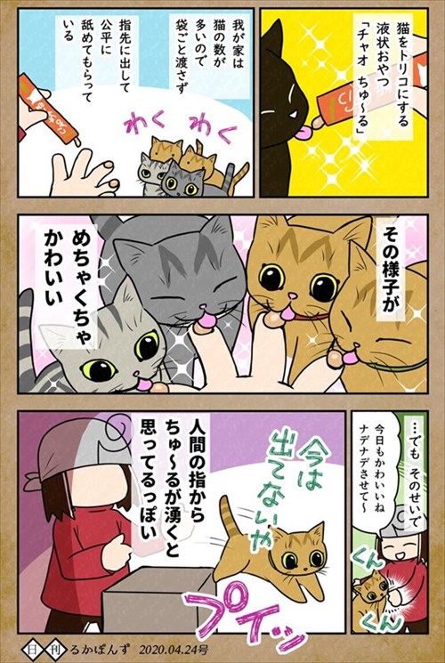 猫にお手を教えた結果
