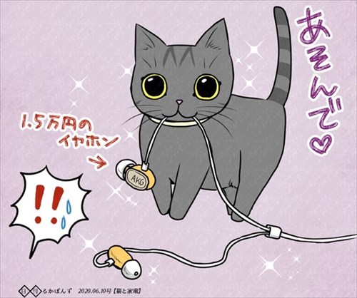 猫にお手を教えた結果