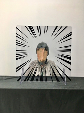 集中線入りパーティションにハシビロコウが座っているところ