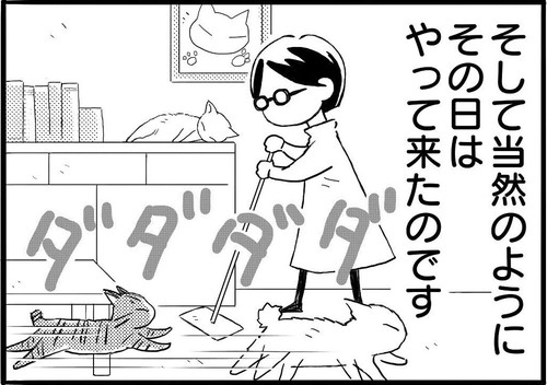 網戸に登るネコちゃん