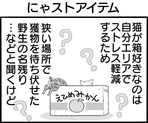 にゃストアイテム