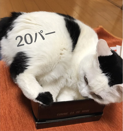 にゃストアイテム