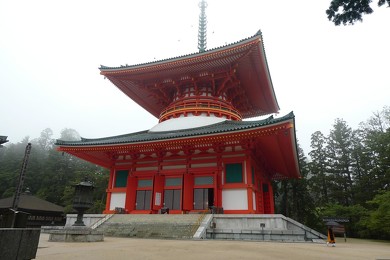南海 天空 観光列車 高野山