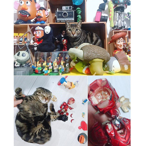 破壊神マイマイさん