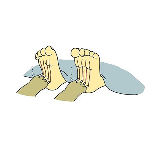  猫による飼い主の起こし方3