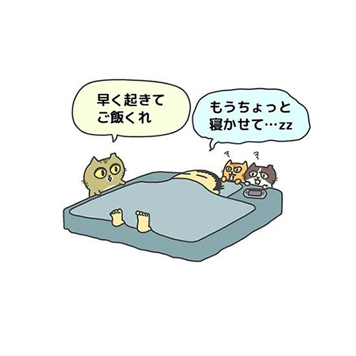 猫による飼い主の起こし方1