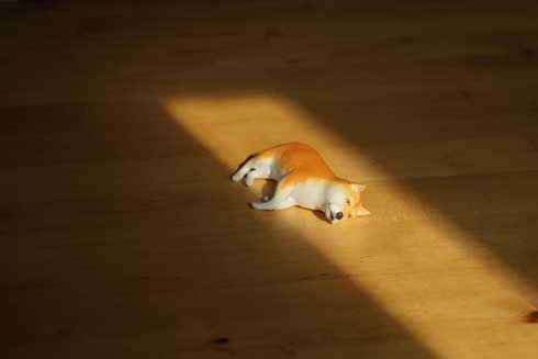 史上最高の暑さ 犬 無気力な犬 元ネタ 飼い主 さいたま コラ 柴犬