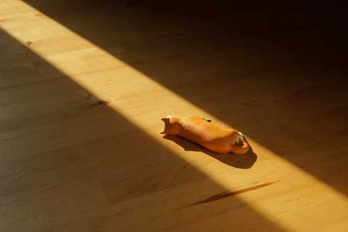 史上最高の暑さ 犬 無気力な犬 元ネタ 飼い主 さいたま コラ 柴犬