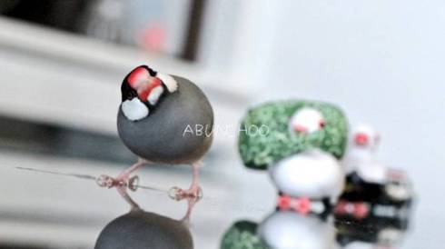 文鳥 モフ ゲーム機を守る