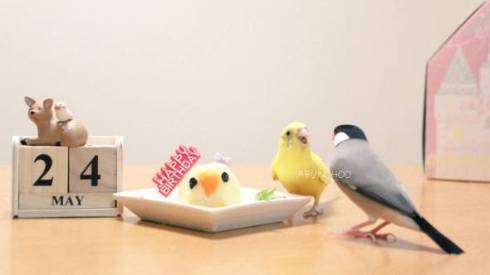 文鳥 モフ ゲーム機を守る