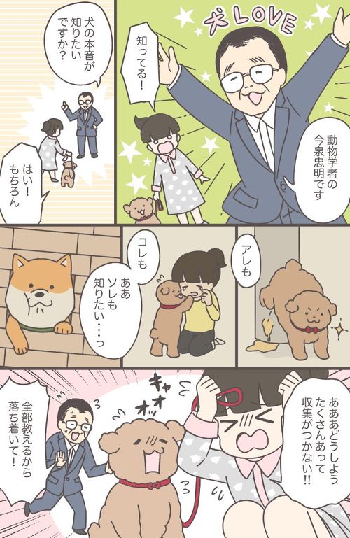 地震と私とイッヌ