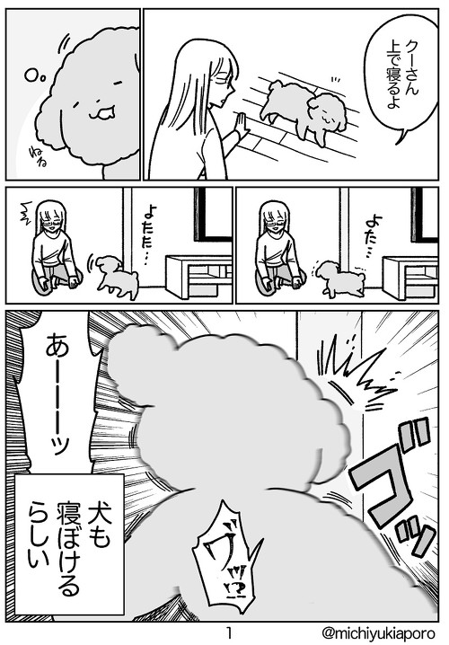 地震と私とイッヌ