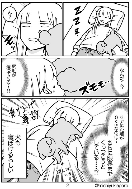 地震と私とイッヌ