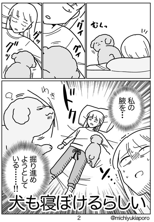 地震と私とイッヌ