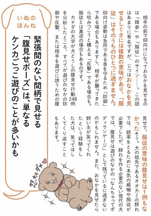 地震と私とイッヌ