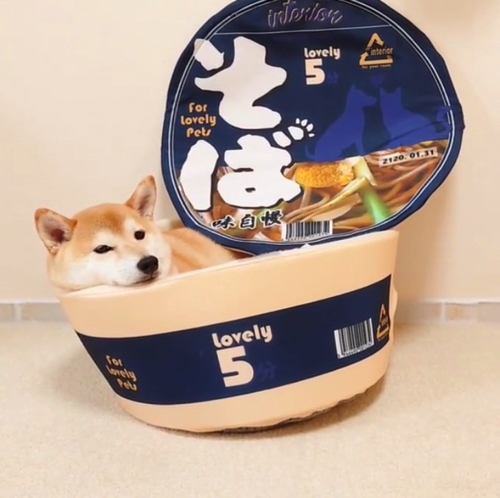 かわいさ満点の柴犬ワンコそば