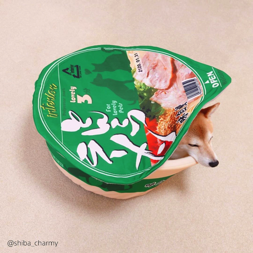 かわいさ満点の柴犬ワンコそば