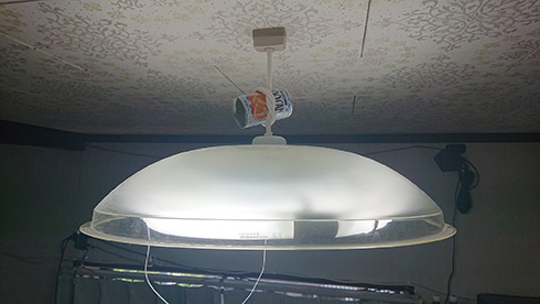 「私は2年間無駄なことをしていた」　引用RTの一言が耐え忍ぶ空き缶を開放する