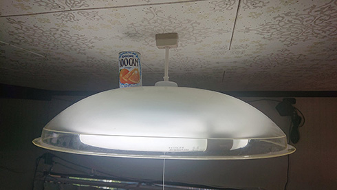 「私は2年間無駄なことをしていた」　引用RTの一言が耐え忍ぶ空き缶を開放する