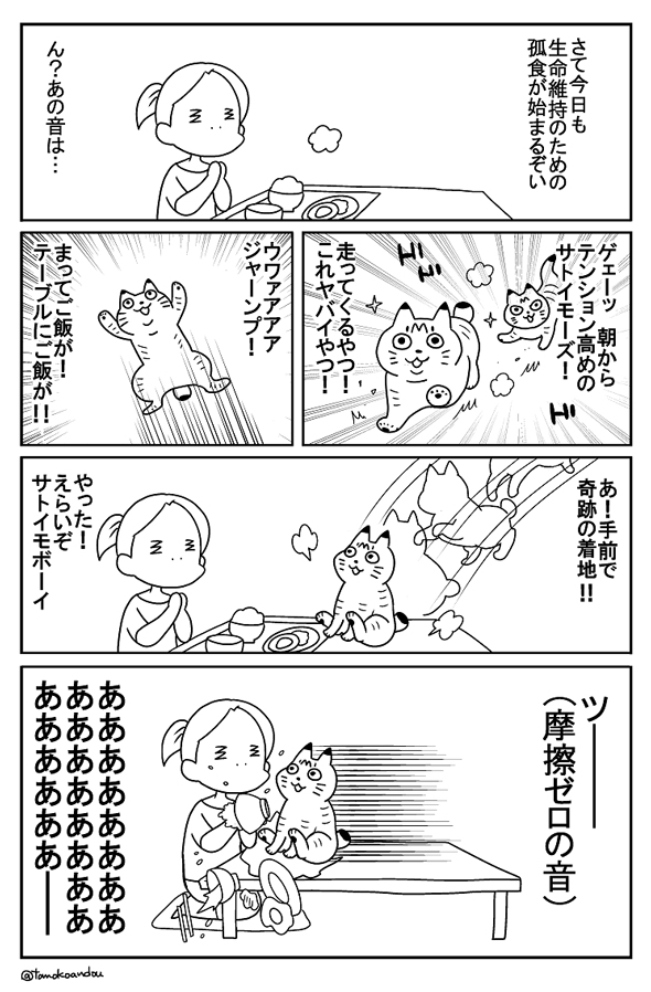 猫と生（い）くる生活