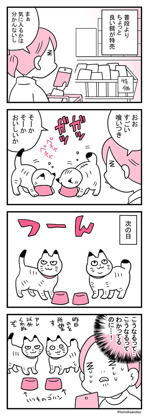 人は愚かなものです