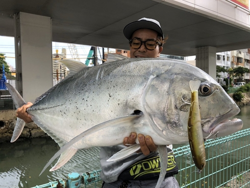 釣り フィッシング ベラ 釣果