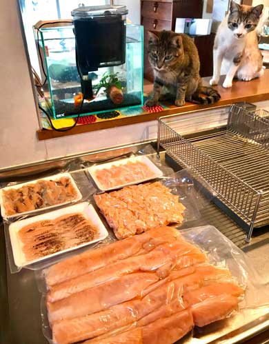 Nクール ニトリ 気持ちいい 猫 うっとり 表情 なみそ