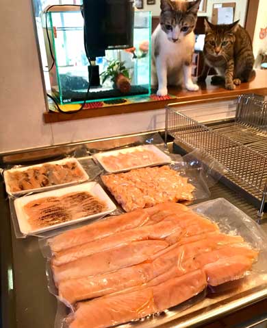 Nクール ニトリ 気持ちいい 猫 うっとり 表情 なみそ