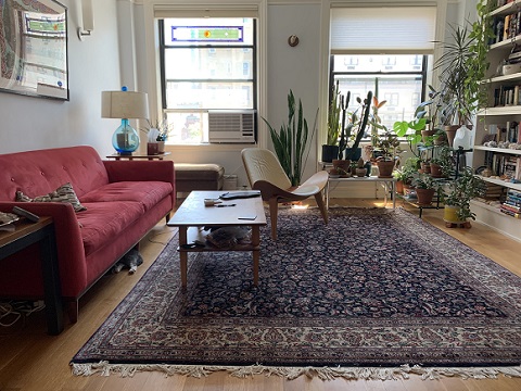 ニャンコを探せ