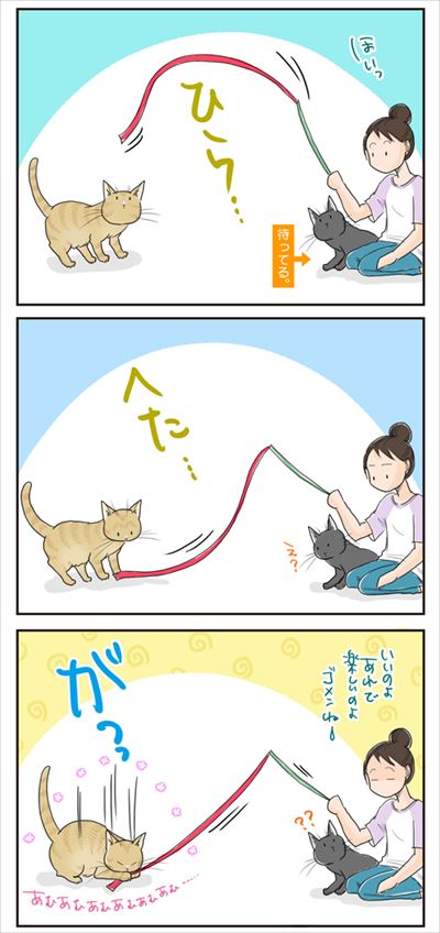 猫