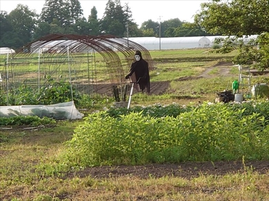 ホラー かかし スクリーム 戦慄 心霊