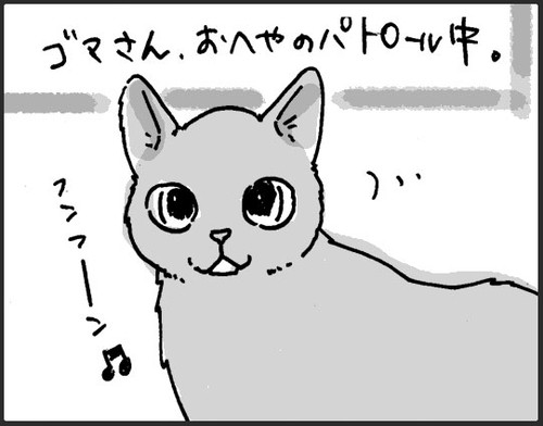 お風呂お先にするネコちゃん