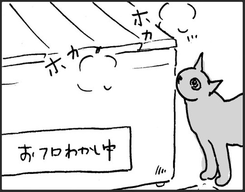 お風呂お先にするネコちゃん