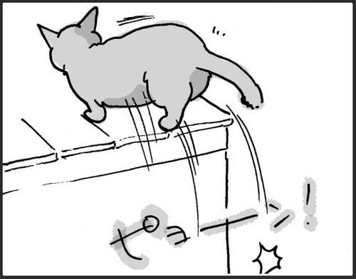 お風呂お先にするネコちゃん