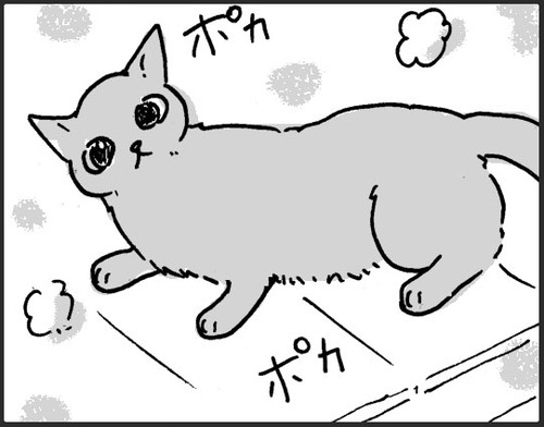 お風呂お先にするネコちゃん