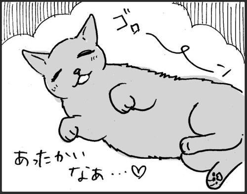 お風呂お先にするネコちゃん