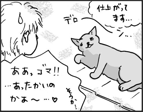 お風呂お先にするネコちゃん