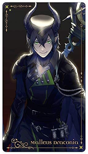 ツイステ イデア KV棺 封入特典 アルカナカード 53枚 【[箔押しver