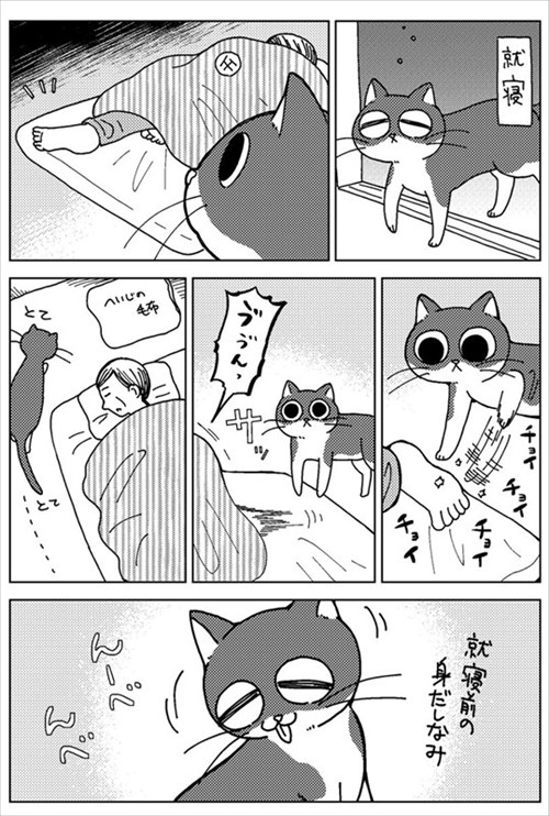 お父さんと猫