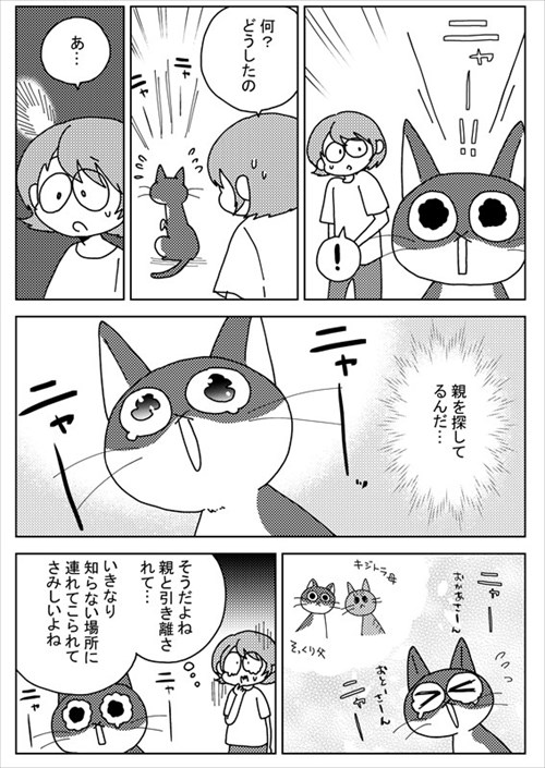お父さんと猫