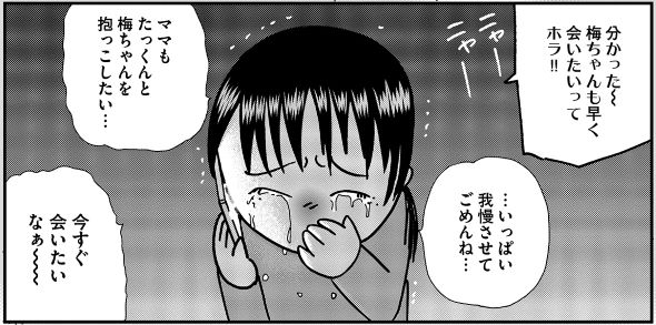 週刊スピリッツ 小学館 沖田×華 お別れホスピタル コロナ特別編