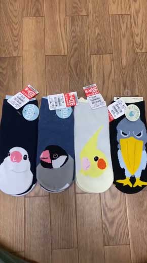 靴下 柄 なんで ハシビロコウ 寿司 SUSHI 文鳥 オカメインコ 鳥